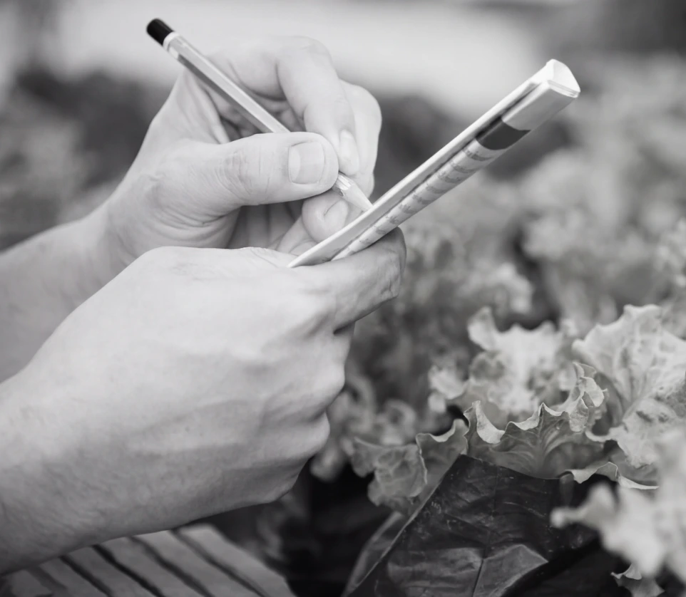 sector-agroindustria-trazabilidad.webp ALT Text: "Fondo visual para el sector Agroindustria y Alimentos, evocando la trazabilidad estricta y control de costos de producción granulares.